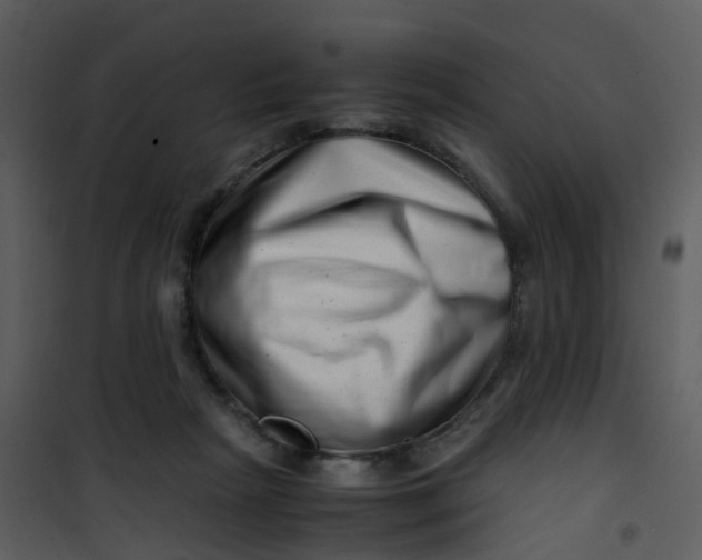 X0000101170265200807181430