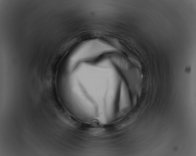X0000101170266200807181430