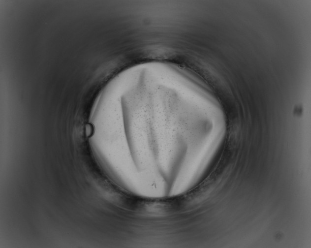 X0000101170268200807181430