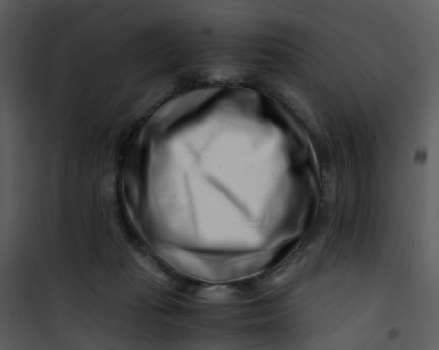 X0000101170269200807181430