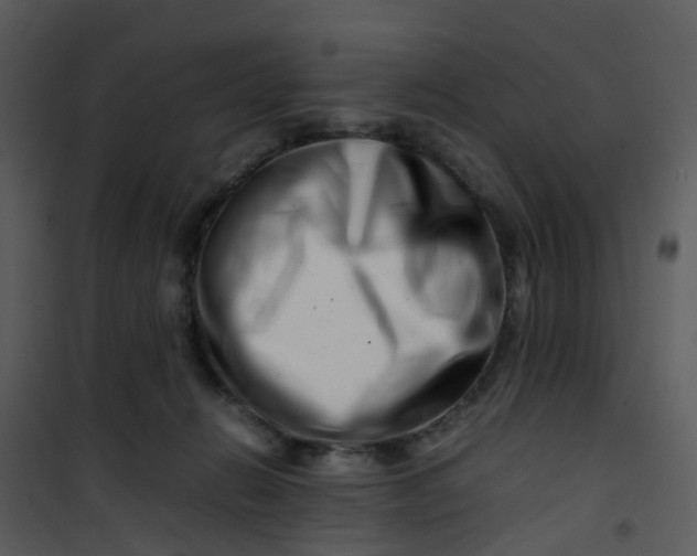 X0000101170270200807181430
