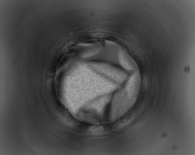 X0000101170271200807181430