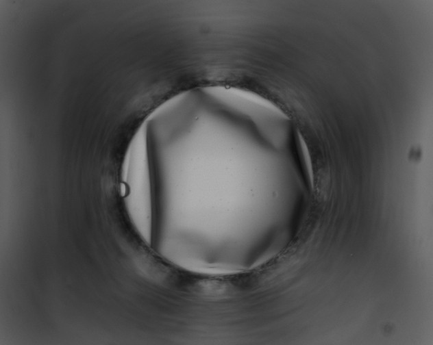 X0000101170272200807181430