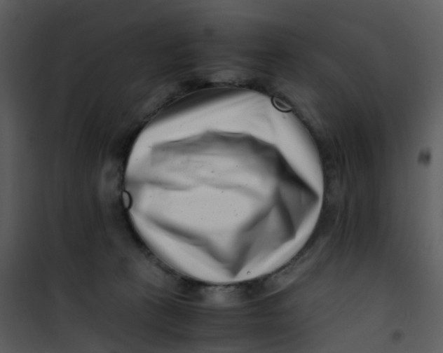 X0000101170273200807181430