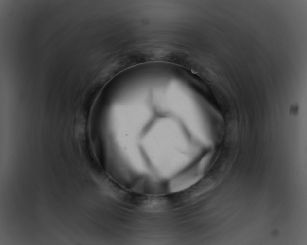 X0000101170274200807181430