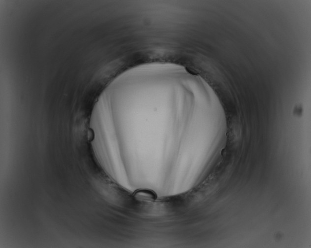 X0000101170276200807181431