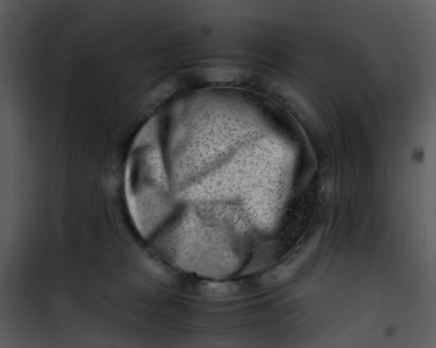 X0000101170277200807181431