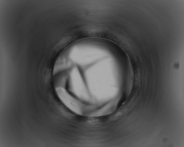X0000101170278200807181431