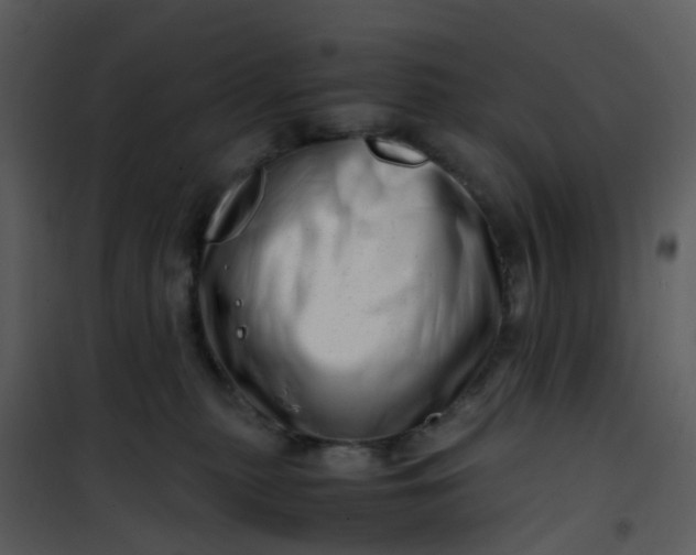 X0000101170279200807181431