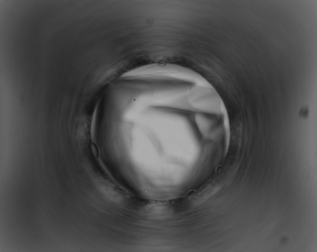 X0000101170280200807181431