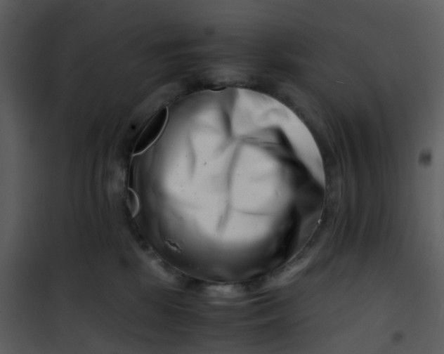X0000101170281200807181431