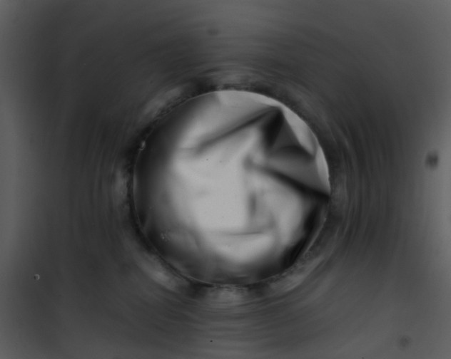 X0000101170282200807181431