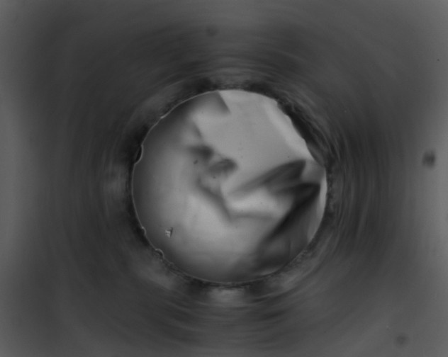 X0000101170283200807181431
