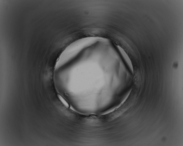 X0000101170284200807181431