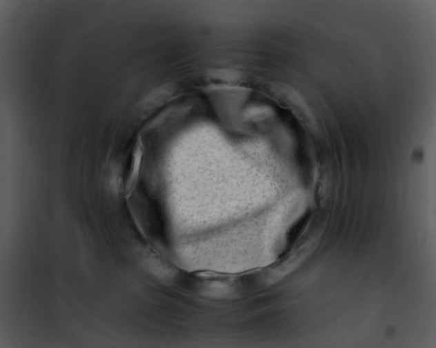 X0000101170285200807181431