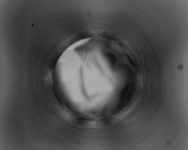 X0000101170286200807181431