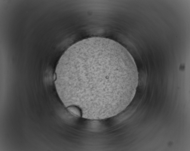 X0000101170287200807181431