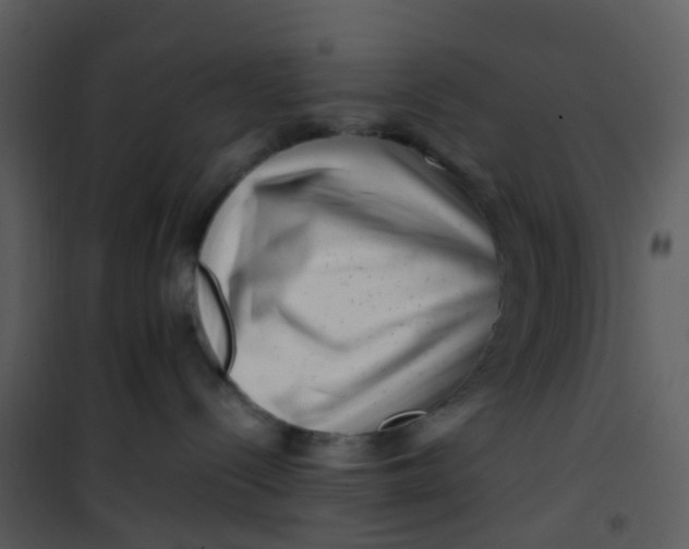 X0000101170288200807181431