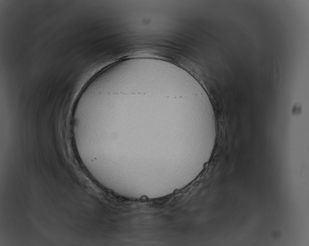 X0000101170289200807181430
