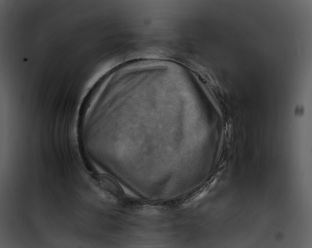 X0000101170292200807181430