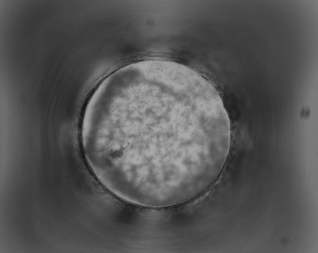 X0000101170293200807181430