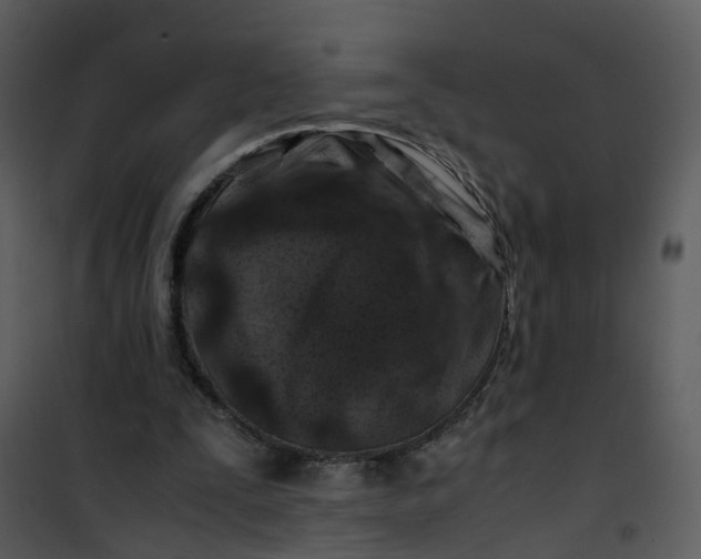 X0000101170295200807181430