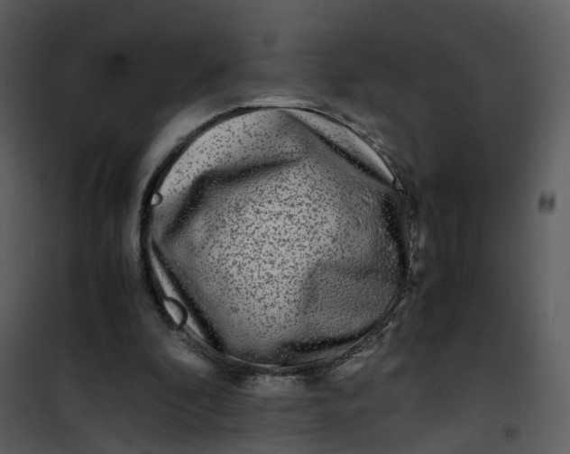 X0000101170296200807181430