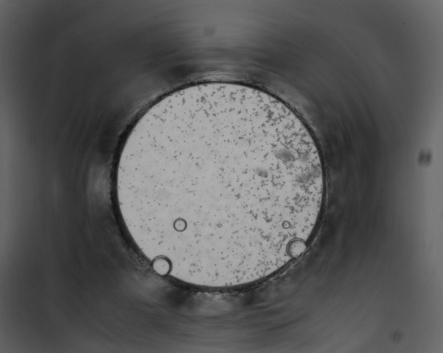 X0000101170297200807181430