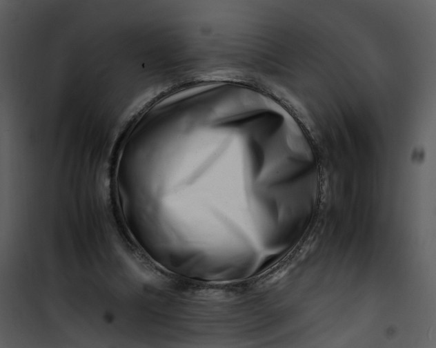 X0000101170298200807181430