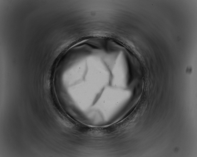 X0000101170299200807181430