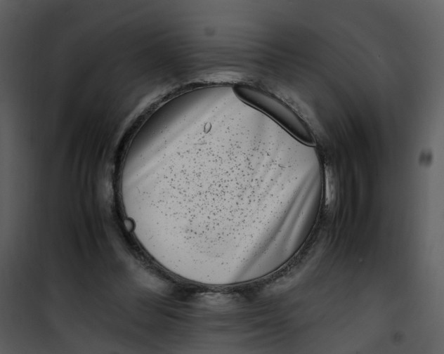 X0000101170300200807181430