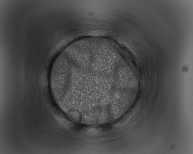 X0000101170303200807181430