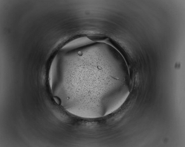 X0000101170304200807181430
