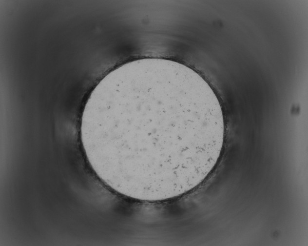 X0000101170305200807181430