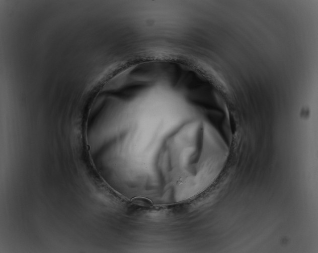 X0000101170306200807181429