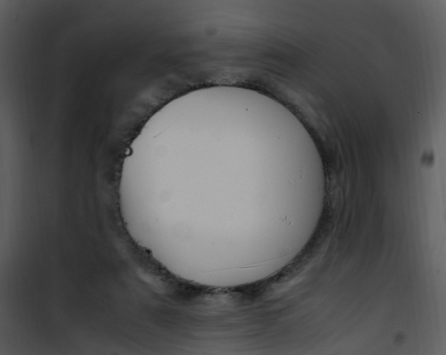 X0000101170307200807181429