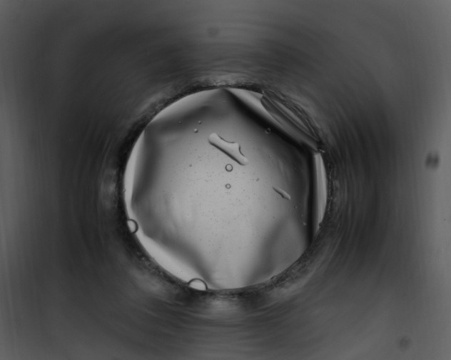 X0000101170308200807181429
