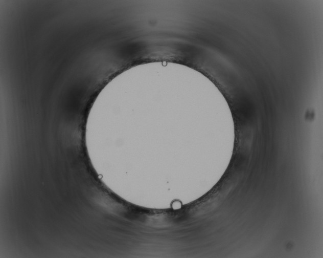 X0000101170309200807181429