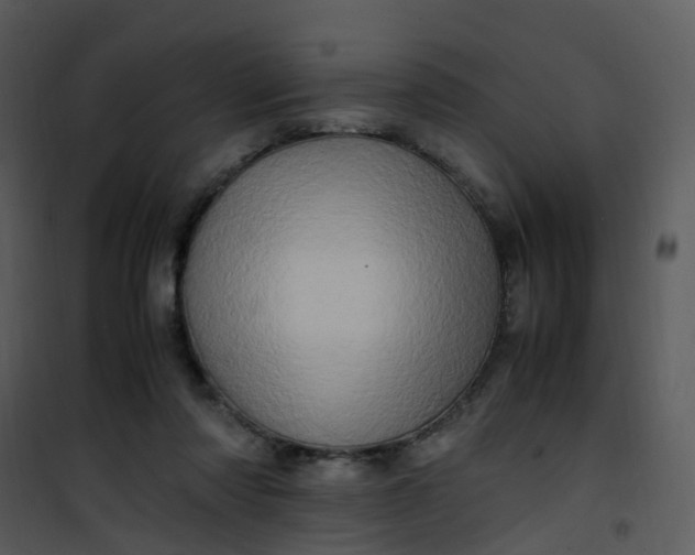 X0000101170310200807181429