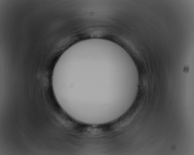 X0000101170311200807181429