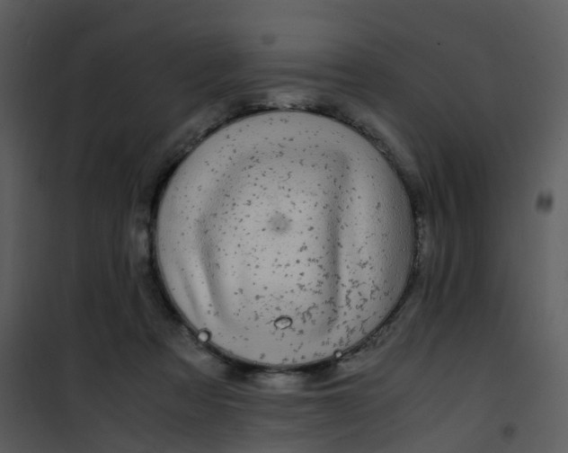 X0000101170313200807181429