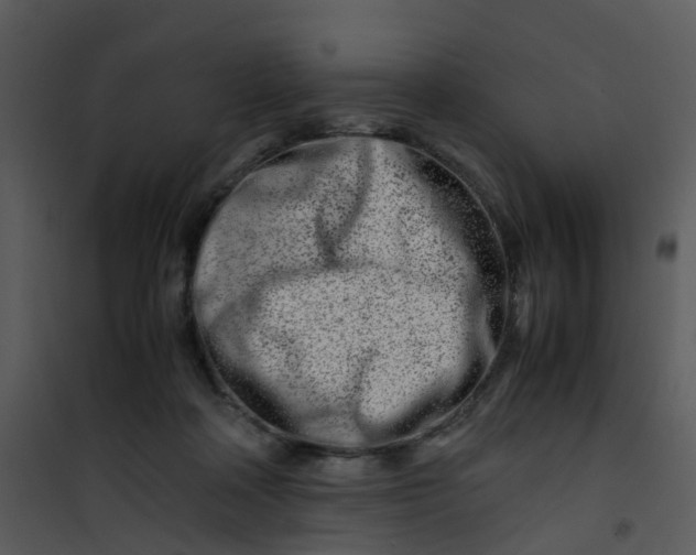 X0000101170314200807181429