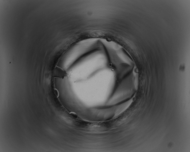X0000101170315200807181429