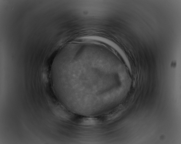 X0000101170316200807181429