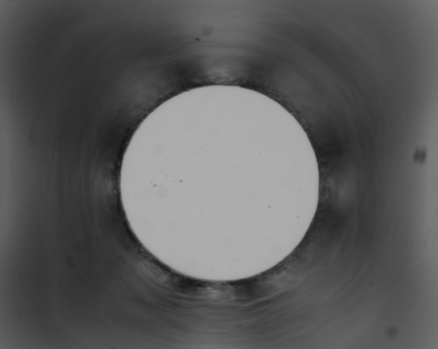 X0000101170317200807181429