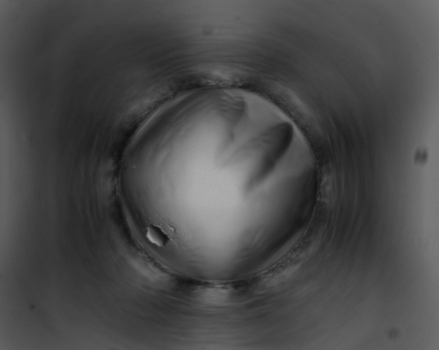 X0000101170318200807181429