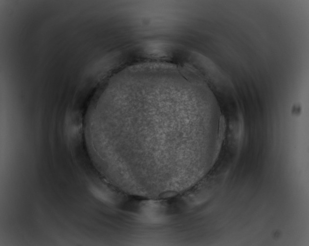 X0000101170320200807181429