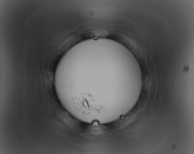 X0000101170321200807181429