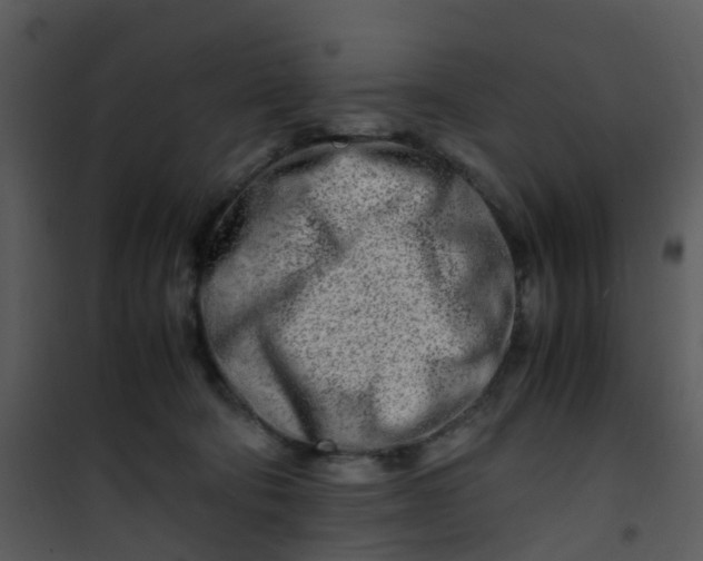 X0000101170322200807181429