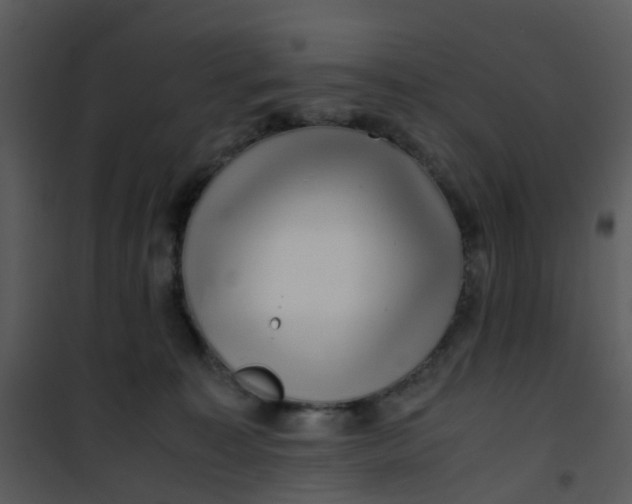 X0000101170323200807181429